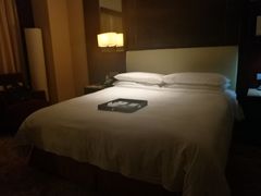 -上海新发展亚太JW万豪酒店