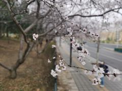 -玲珑塔公园