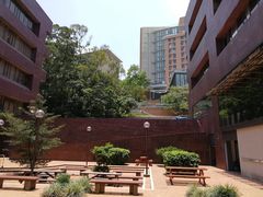 -香港大学