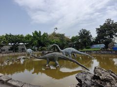 -自贡恐龙博物馆