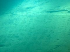 -白鹤梁水下博物馆