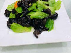 -双井轩(双井店)