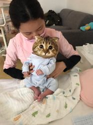 点击看大图 婴儿服务-敦南真爱月子会所(黄埔店)
