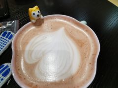 热可可-逗柴咖啡屋·狗咖猫咖宠物桌游