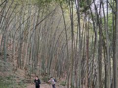 -西湖风景区十里琅珰-五云山