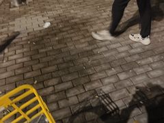 -近春园遗址