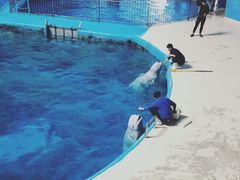-泉城欧乐堡海洋极地世界