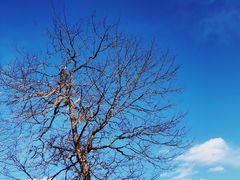 -硗碛藏寨·神木垒景区