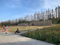 -前小桔亲子创意农场·草莓采摘·露营烧烤