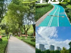 -重庆彩云湖湿地公园