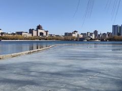 -莲花池公园