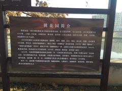 -桃花堤公园