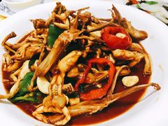 鸭舌烧田鸡-善银私房菜馆(金舟花园小区店)