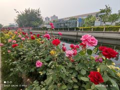 -牛街老爆肚满(牡丹园店)