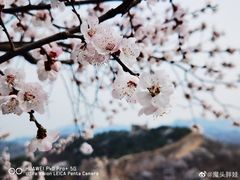 -蟠龙山长城景区