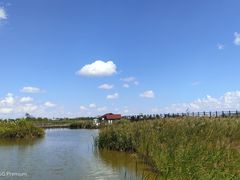 -盐城丹顶鹤湿地生态旅游区
