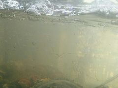 -海之鲜大排档(东山海鲜金銮湾店)