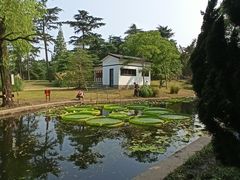 -共青国家森林公园-售票处