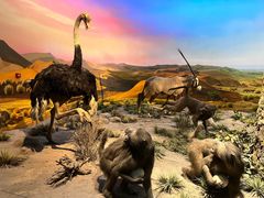 -国家自然博物馆