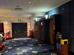 -飞扬影城(正佳IMAX店)