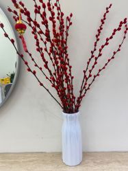 -Mentor Hair Salon
