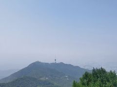 -梧桐山风景名胜区