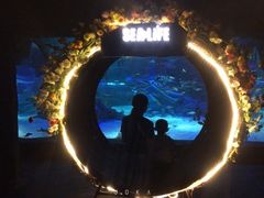 -沈阳海洋探索中心