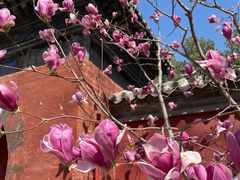 -红螺寺