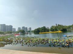 -新江湾城公园