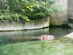 -成都动物园