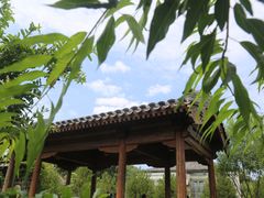 -春风习习