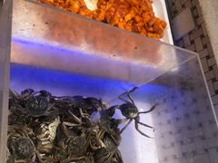 -江南食代自助餐厅(宝龙城市广场店)