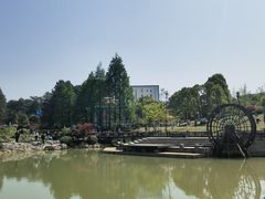 -铁山坪森林公园