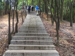 -火炉山森林公园
