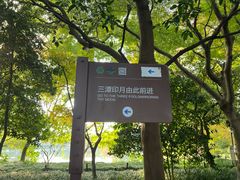 -西湖游船