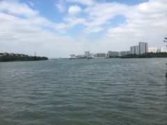 -五缘湾湿地公园