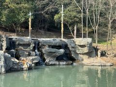 -宁波野生动物园