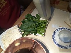 -东镇老火锅(长春路首店)