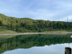 -武陵山森林公园