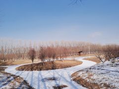 -东郊湿地公园