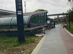 -神仙树公园