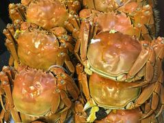 -乡乐园蟹庄·阳澄湖农家乐