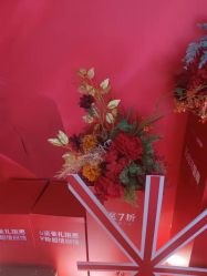 -上海玫瑰医疗美容医院