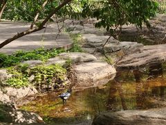 -黑龙江省森林植物园