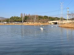 -佛手湖郊野公园