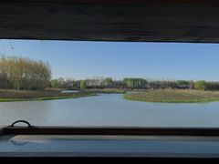 -溱湖国家湿地公园