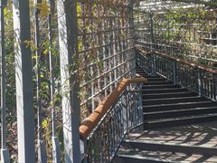 -金鸡山公园