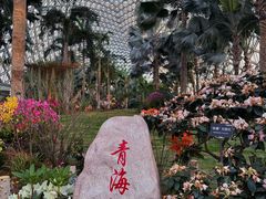 -上海辰山植物园