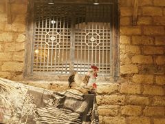 -杜婆鸡跳跳蛙(亿都店)