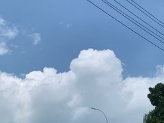-同里国家湿地公园